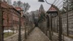 A photograph of barb wired fence in the former Nazi German Auschwitz I concentration camp