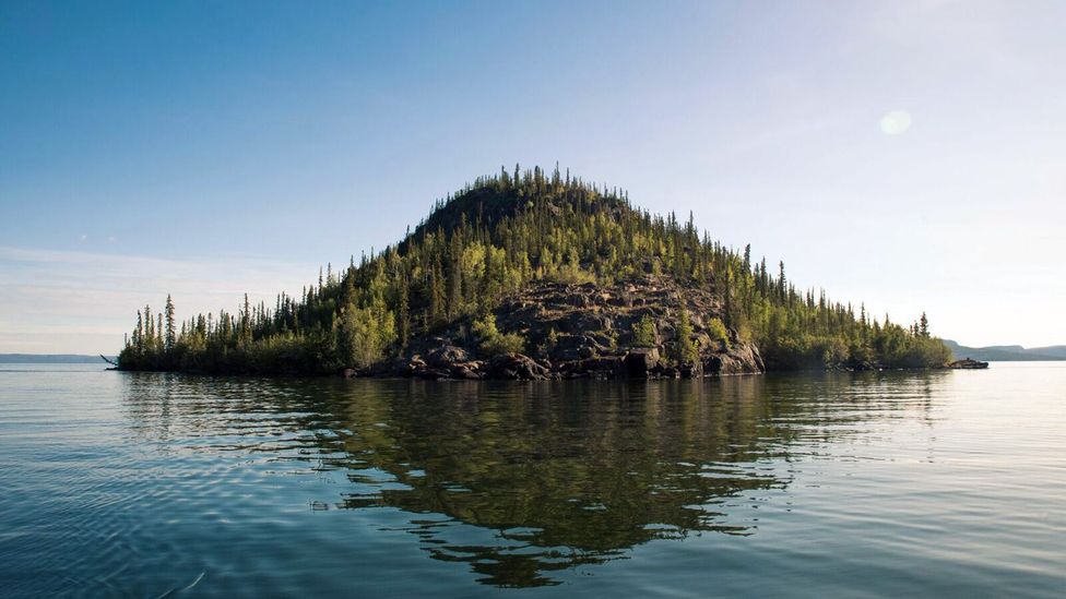 Thaidene Nëné Indigenous Protected Area sits in Canada's Northwest Territory, where boreal forest transitions to Arctic tundra (Credit: Pat Kane Photo)